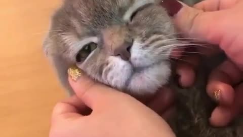 Massage Time😻