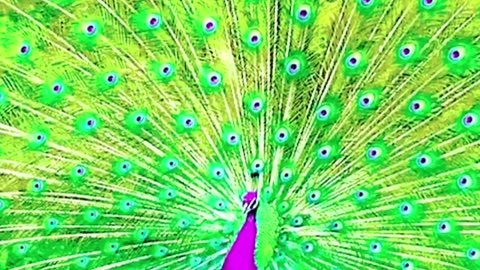funny funny videos funny jokes funny animals funny memes funny movies funny bone funny pictures