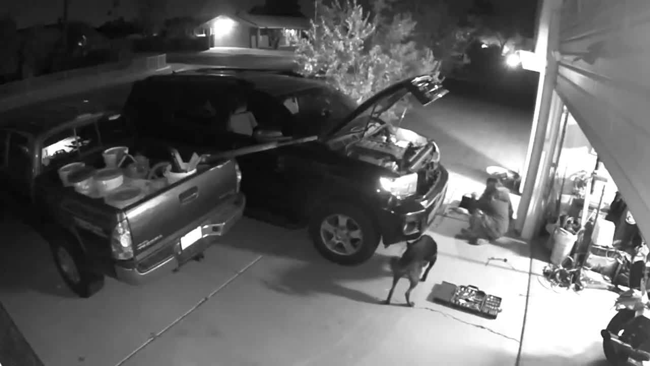 Woman Falls Off Her Car In The Driveway While Fixing It And Her Dog Runs To Check On Her