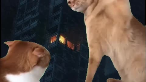 Memes tiktok