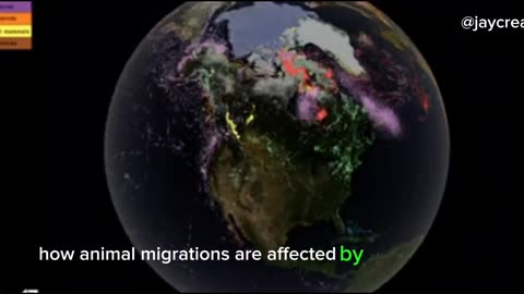 Physical phenomena And Life