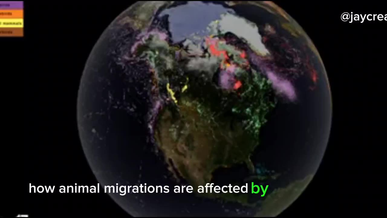 Physical phenomena And Life