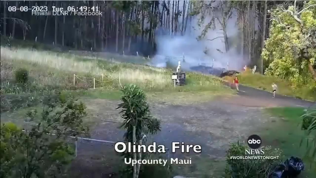Truth About Maui Fires