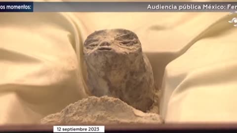 Two alleged "non-human alien corpses" were unveiled in Mexico