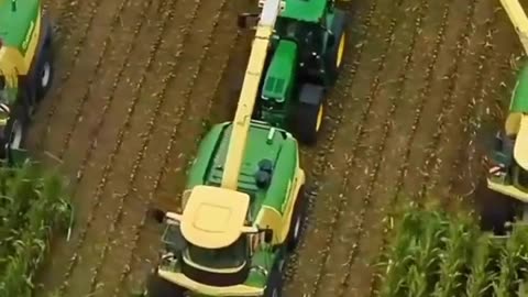 CRC vídeos curiosos