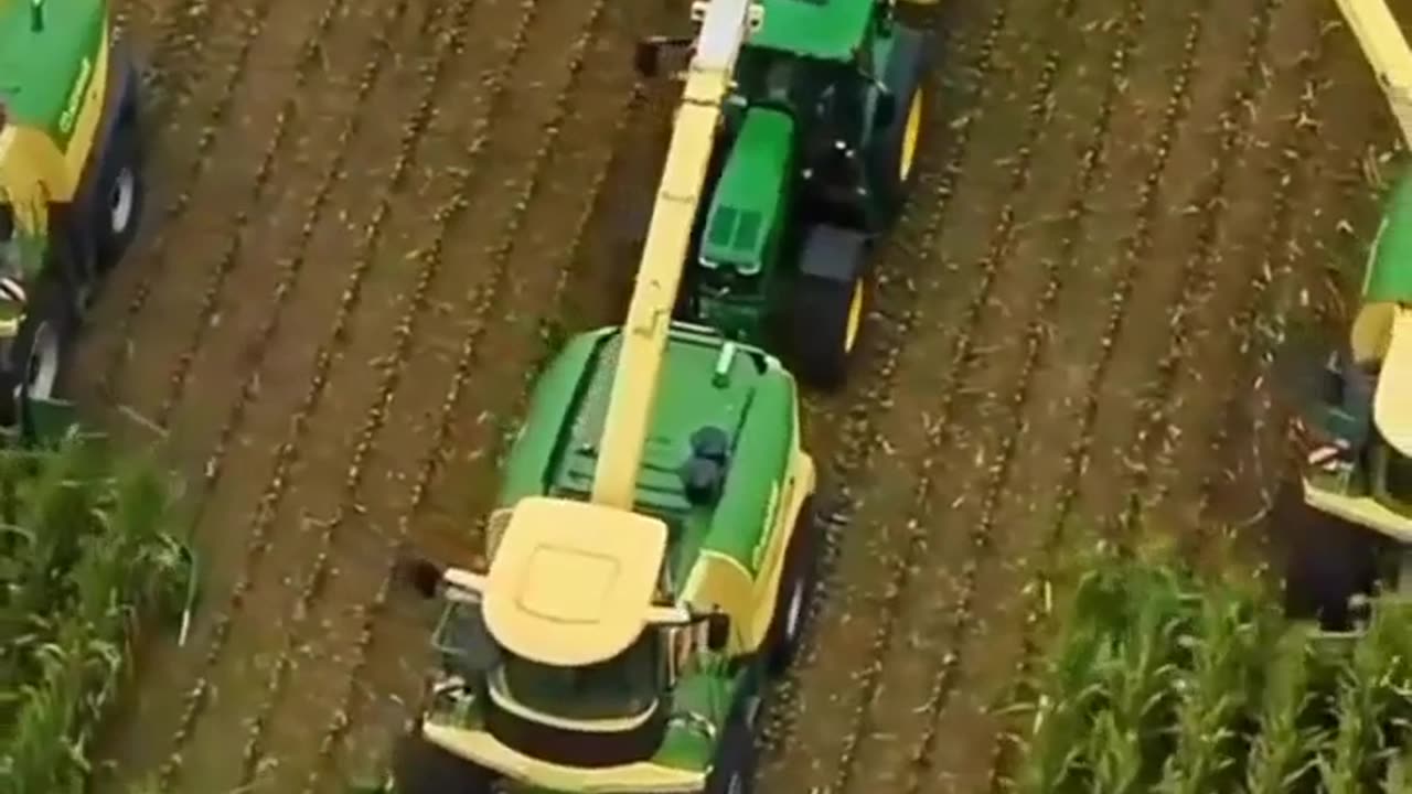 CRC vídeos curiosos