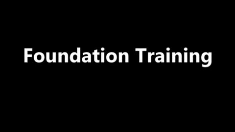Dog training skills
