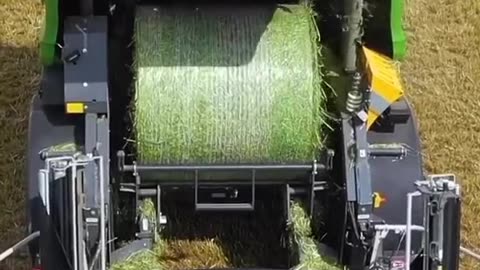 CRC vídeos curiosos