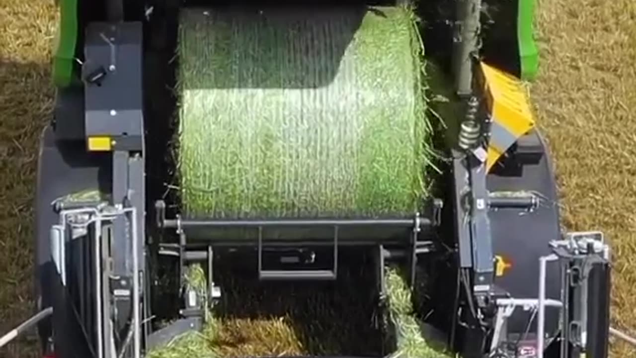 CRC vídeos curiosos