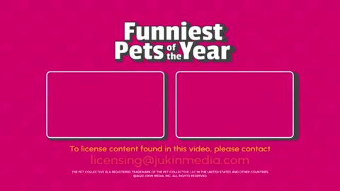 The FUNNIEST Pet Videos