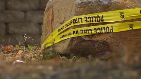 New details emerge after stabbing deaths of four Idaho college students