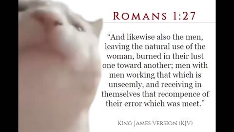 Based Bible Kitty