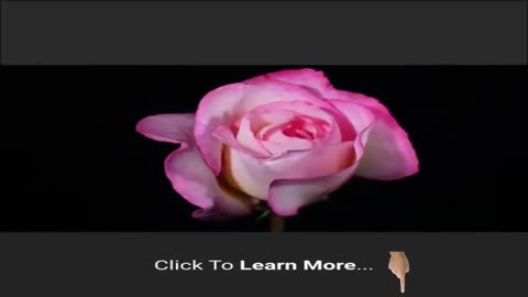 How to get your ex back when they have moved on with someone else?