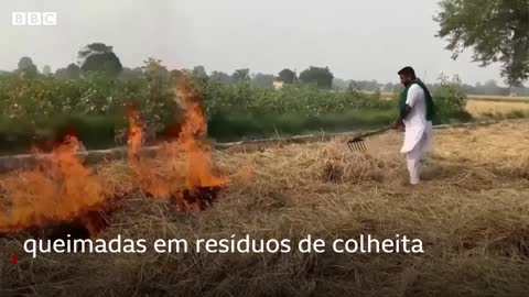 A nuvem tóxica que cobriu uma das maiores cidades do mundo