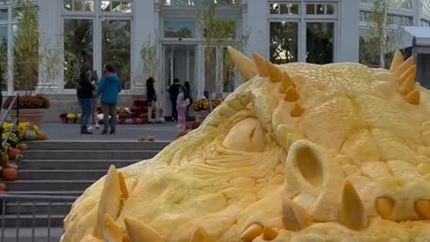 2424lb Pumpkin Carving