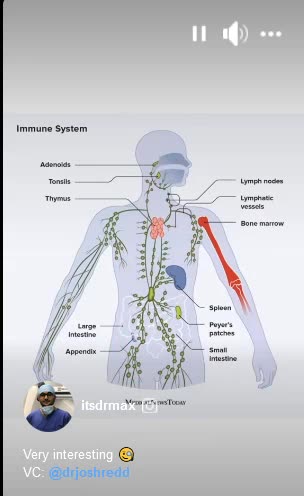 A warning on paper straws....