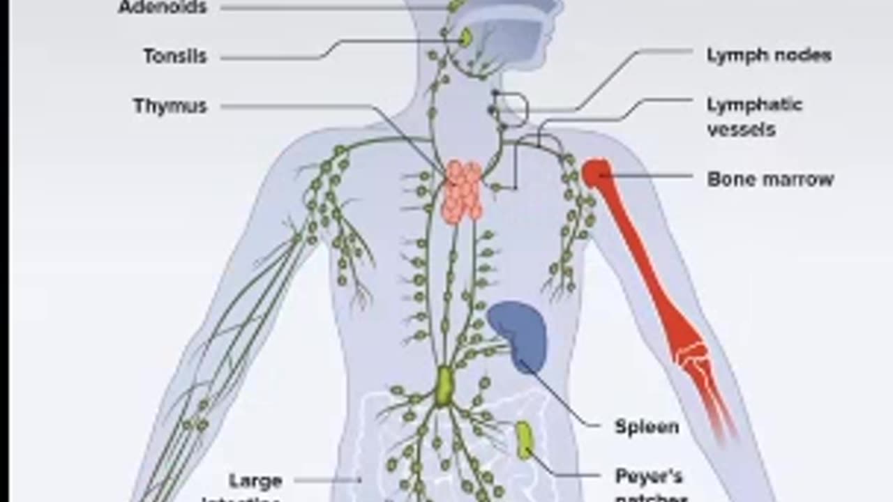 A warning on paper straws....