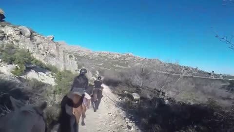 Horse Riding Madrid
