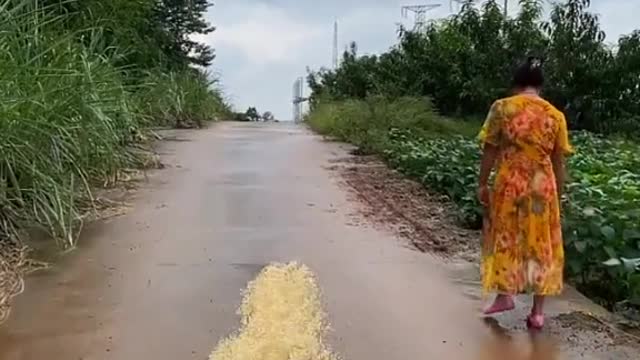 Amazing video