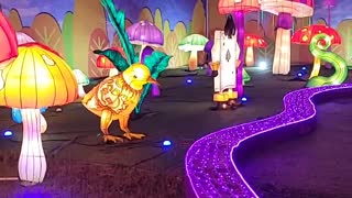 Alice in Wonderland display at Magical Winter Lights