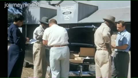 National Institutes of Horror