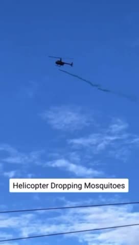 footage of “Enviro-seeding”, in action, helicopter dumping hundreds of thousands of mosquitoes