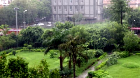 Rainy Day Vibes: The Perfect Soundscape for Cozy Days