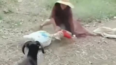 Men and bakra fight fight scene New style