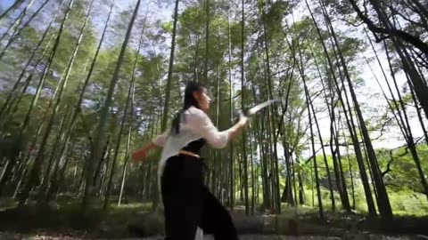 Chinese Kung Fu
