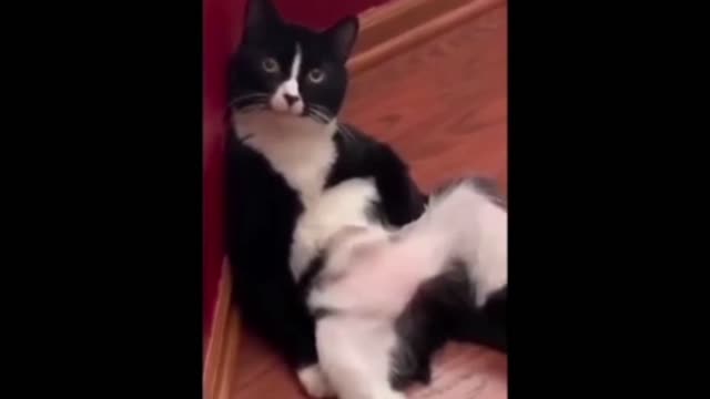 do not look at me