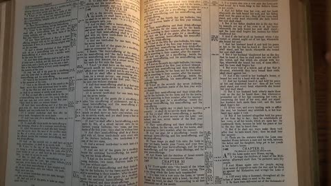 Numbers 29