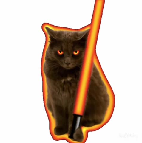 Cat Jedi GIF! ☯️