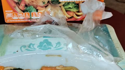 Eating Lean Cuisine Chicken Teriyaki,, Dbn, MI, 10/3/23
