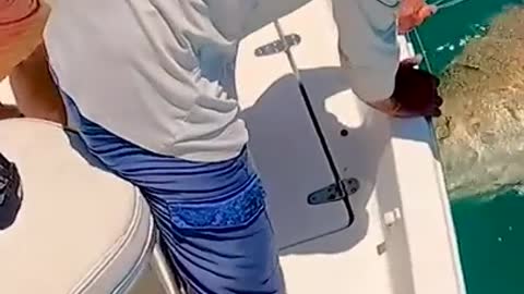 Giant fish