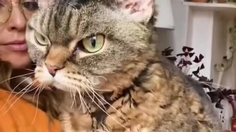I'm not angry 🤣