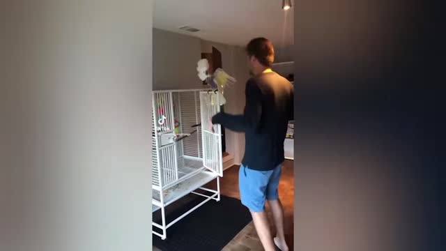 Funny jokes with animals. Part 20