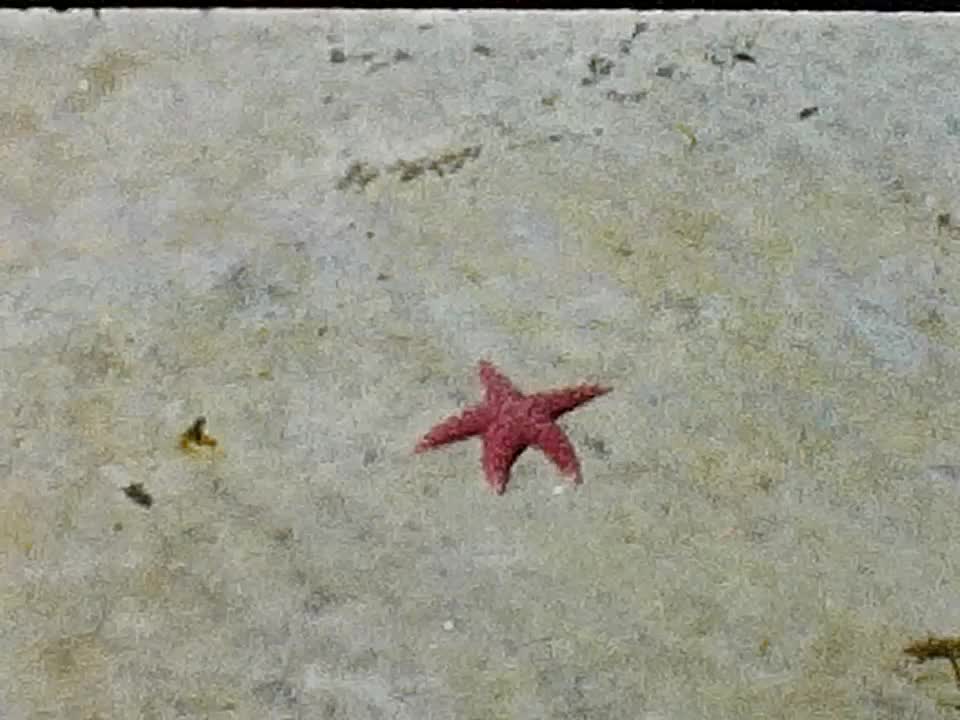 Aug 59 Savory Island Naniamo