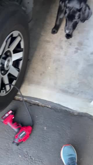 Car Maintenance