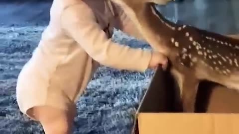 Baby is talking on the phone cute deer 🦌 😍