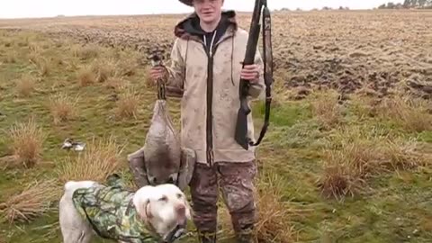 Lab Dog Hunting