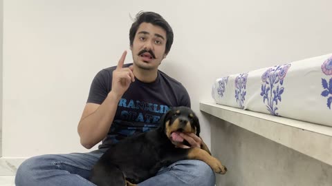 Dog training with men
