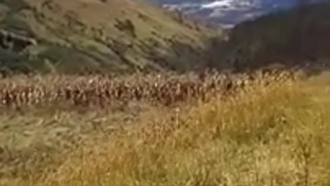 LLEGUE A LA CIMA DE LA TERCERA MONTAÑA