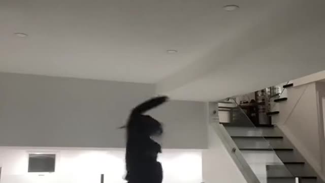 I want to dance like that