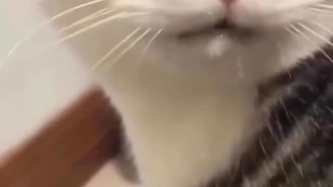🤣🤣