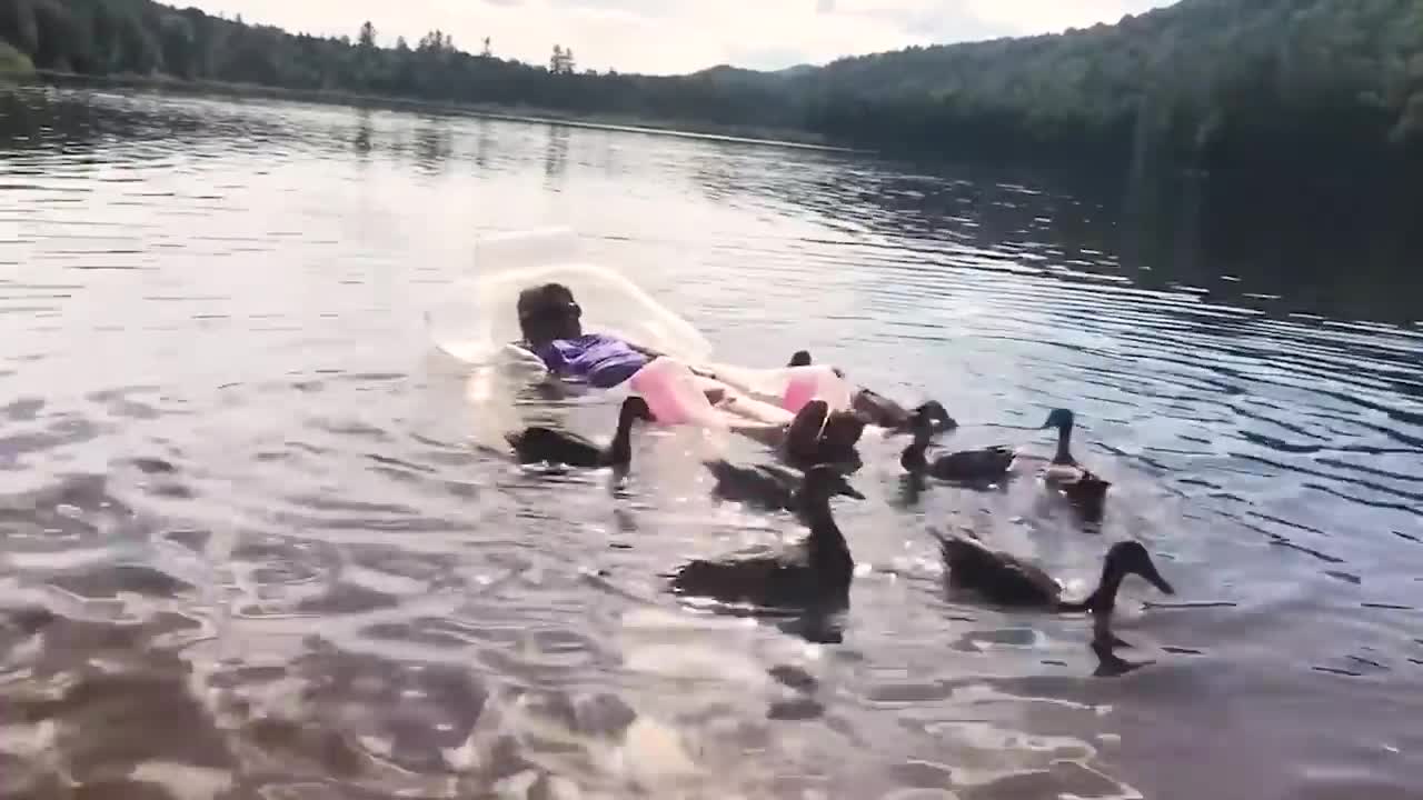 Try Not To Laugh Funny Videos - Watch Our Fails Before You Start Your Day