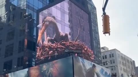 The film warms up in Times Square in advance