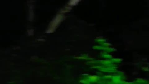 Scary SCREAMS Heard In The Ohio Forest @TMacsAmericanexperience #bigfoot #cryptids #haunted