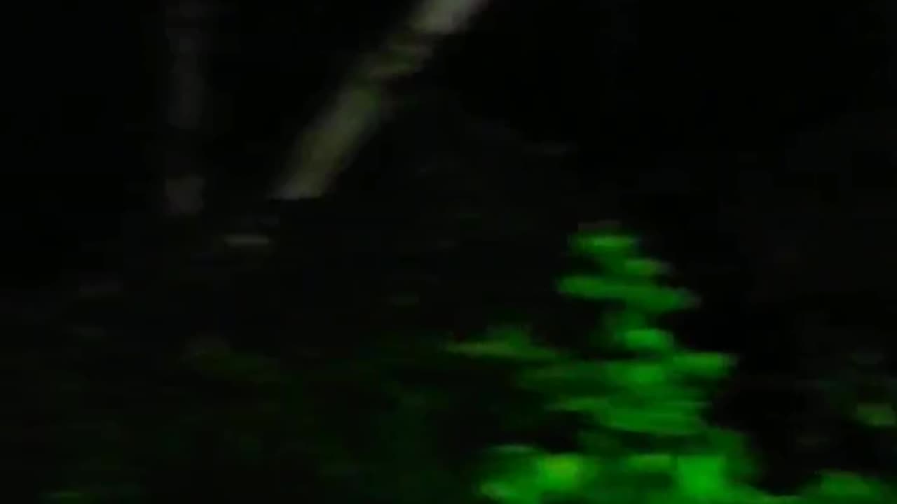 Scary SCREAMS Heard In The Ohio Forest @TMacsAmericanexperience #bigfoot #cryptids #haunted