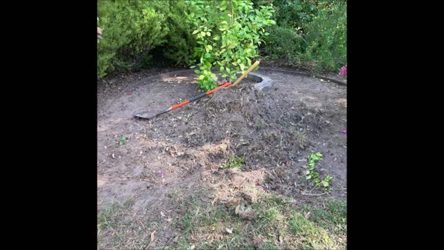 Kronos Tree Care and Landscape - (916) 259-7009