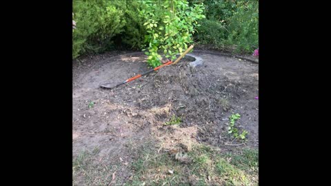 Kronos Tree Care and Landscape - (916) 259-7009